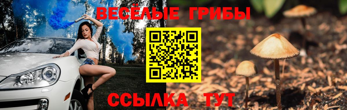 Галлюциногенные грибы Psilocybine cubensis Нижний Тагил