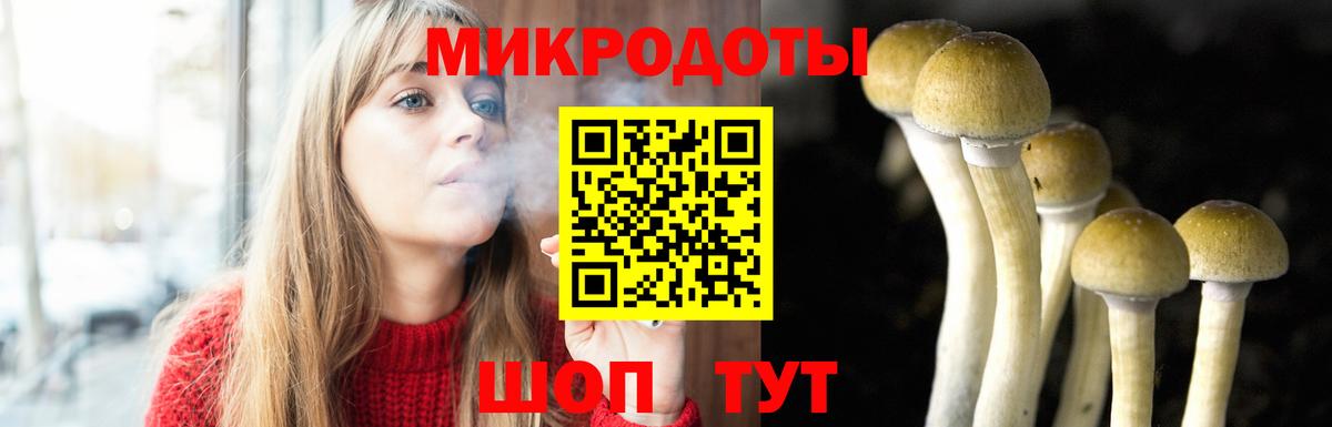Нижний Тагил  Псилоцибиновые грибы GOLDEN TEACHER  Вход с VPN 